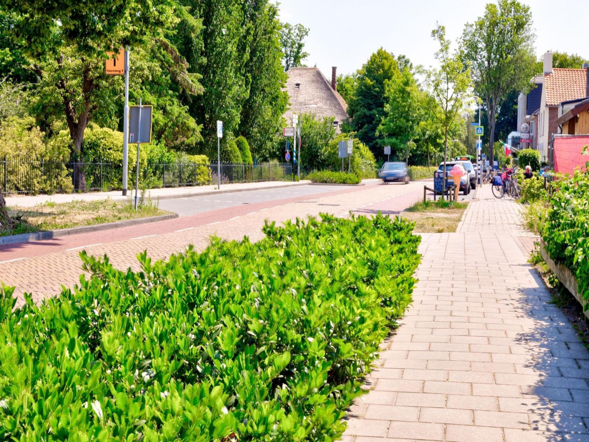 Stunning Apartment In Schoorl North Holland You Can Bike To The Beach Zewnętrze zdjęcie